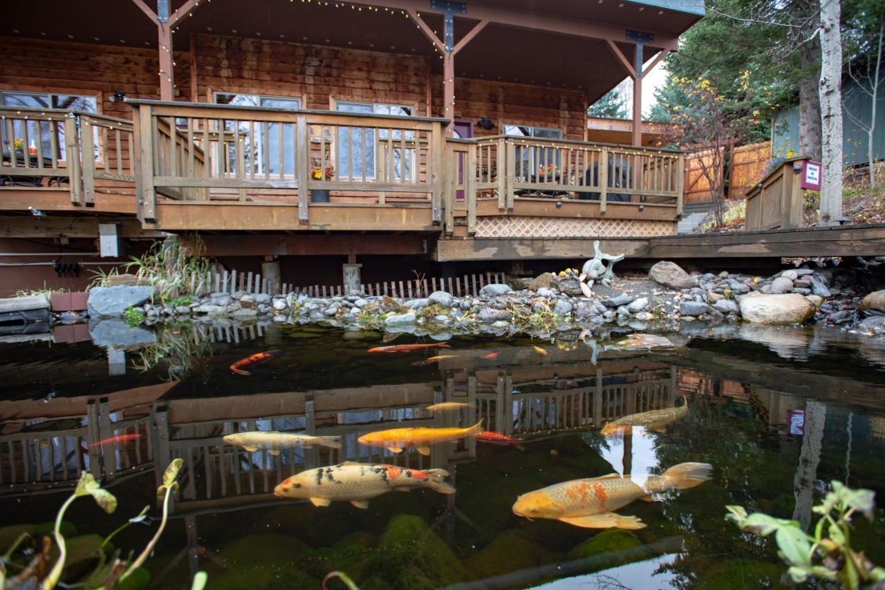 ホーマー Bear Creek Winery And Lodging Bed & Breakfast エクステリア 写真