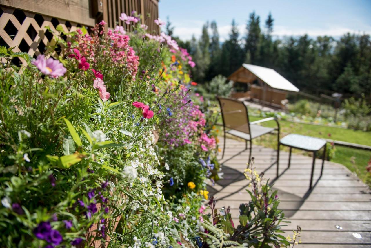 ホーマー Bear Creek Winery And Lodging Bed & Breakfast エクステリア 写真